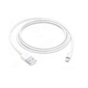 Apple Lightning to USB Cable