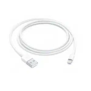 Apple Lightning to USB Cable