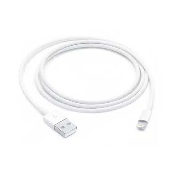 Apple Lightning to USB Cable